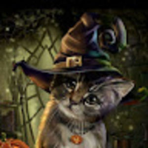 Meet your Posher, Donny